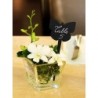 Silhouette tag BUTTERFLY x5 SECURIT Salle