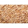 Granulat sac de 3kg BARTSCHER Toutes les catégories