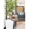 Display GLASS STAR WALNUT 1xA4 SECURIT Information Displays