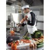 Mixeur SENIOR DMX300 (pied démontable)