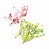 Disque bâtonnets/Juliennes ESSENTIAL | Robot Coupe ROBOT COUPE Disques pour CL20 / R101XL / R201XL / R211XL / R301 / R301 Ult...