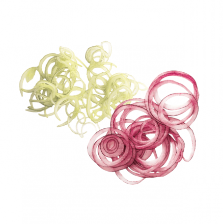 Disque éminceur EXPERT | Robot Coupe ROBOT COUPE Disques pour CL50/CL50 Ultra / CL52 / CL55 / CL60 / CL60 V.V. / R502 / R502V...