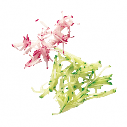 Pack de 4 disques ESSENTIAL | Robot Coupe ROBOT COUPE Disques pour CL20 / R101XL / R201XL / R211XL / R301 / R301 Ultra / R401