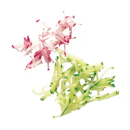 Pack de 6 disques ESSENTIAL | Robot Coupe ROBOT COUPE Disques pour R402 / R402V.V.