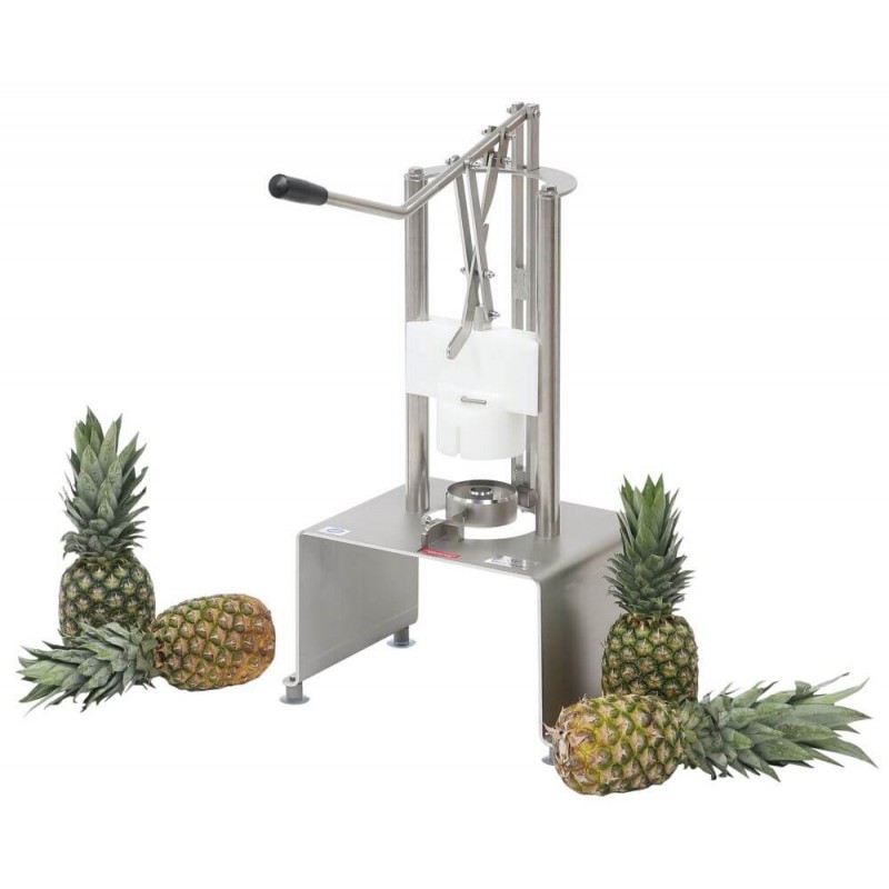 Coupe-ananas, Éplucheur d'ananas Tranche d'ananas Couteau à ananas