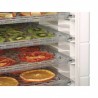 Dehydrator 120 BARTSCHER Food dehydrators