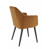 Fauteuil ALFONSE | Gold BE EXPRESS Chaises d'intérieur