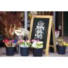 Panneau trottoir NATURE 85x55cm SECURIT Panneaux trottoir