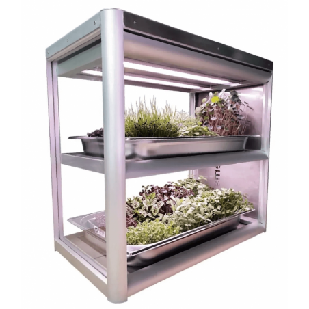 Vif Box  Toutes les catégories