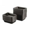 Set of 50 menu trays 23180-1 - CHR MARKET