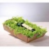 Frisure papier vert, 10kg  Toutes les catégories