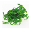 Frisure papier vert, 10kg  Toutes les catégories