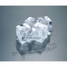 Hoshizaki IM-240XNE-HC-21 - CHR MARKET