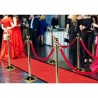 Tapis d'entrée VIP rouge