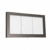 Porte-menu lumineux ACIER GALVA 3xA4 SECURIT Porte-menus lumineux