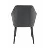 Set of 2 Armchairs ALFONSE anthracite BE EXPRESS INDOOR CHAIRS