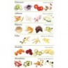 copy of Robot Coupe CL40 - 50kg/h ROBOT COUPE Vegetable cutter ROBOT COUPE