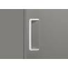 Armoire à poisson QRX 688FH COOL HEAD Armoires de conservation à poissons