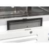 copy of 600L Fish Cabinet COOL HEAD Armoires de conservation poissons