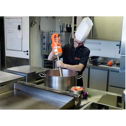 Mixeur professionnel MASTER MX350 (pied fixe) DYNAMIC Gamme MASTER (40 à 100L)