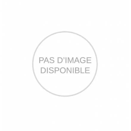 Porte vitrée inférieure "bombée" | Congélateur TCHC 500 TENSAI Toutes les catégories