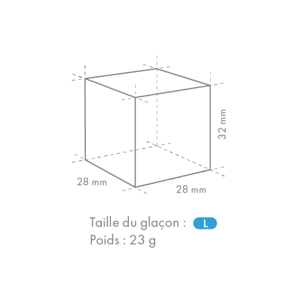 Machine à glaçons HOSHIZAKI IM-240PE -  CHR MARKET