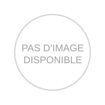 Poulie d’entraînement à flasque – XBM10