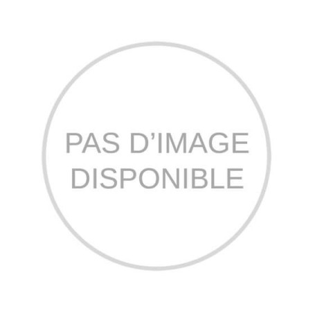 Poulie d’entraînement à flasque – XBM10