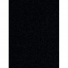Tapis d'entrée VIP noir SECURIT Poteaux d'accueil / Tapis