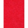 Tapis d'entrée VIP rouge