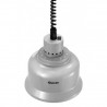 Lampe chauffante infrarouge IWL250D SI BARTSCHER Ponts chauffants