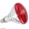 Ampoule infrarouge 150W BARTSCHER Toutes les catégories