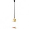 Lampe chauffante infrarouge IWL250D GO BARTSCHER Ponts chauffants