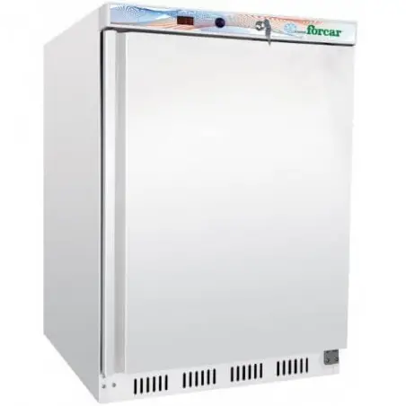 Mini armoire réfrigérée 200L FORCAR Armoires réfrigérées