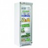 Vitrine réfrigérée négative 300L COOL HEAD Froid