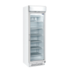 Vitrine réfrigérée négative 300L COOL HEAD Froid