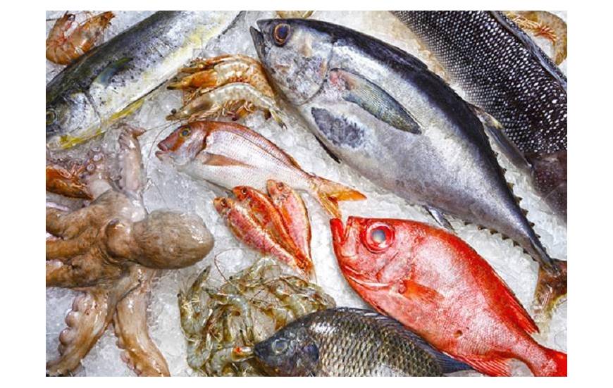 Poissonnerie/Marée